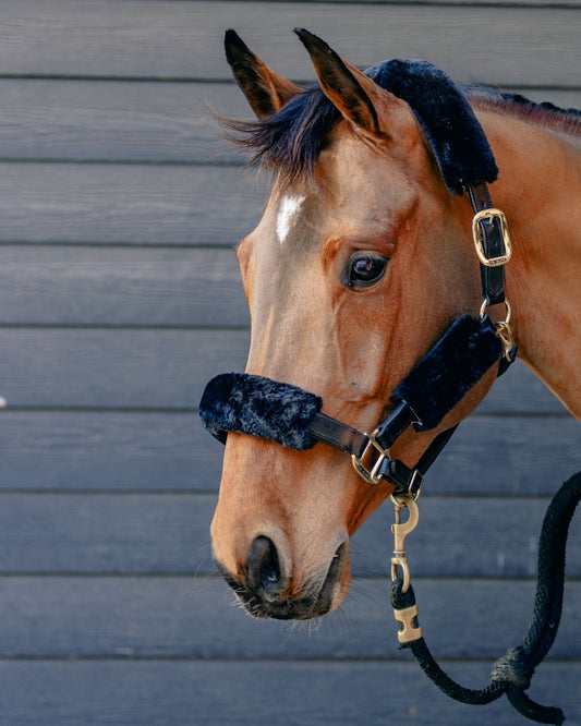 KM Elite Teddy Soft Halter Liners