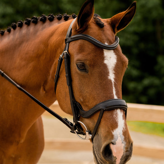 KL Select Arena Weymouth Bridle