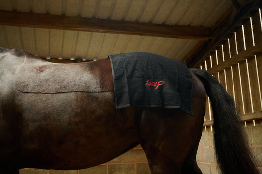 Smart Grooming Dry Off Towel