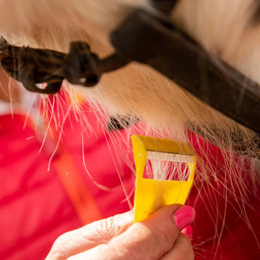 Smart Grooming Equishave