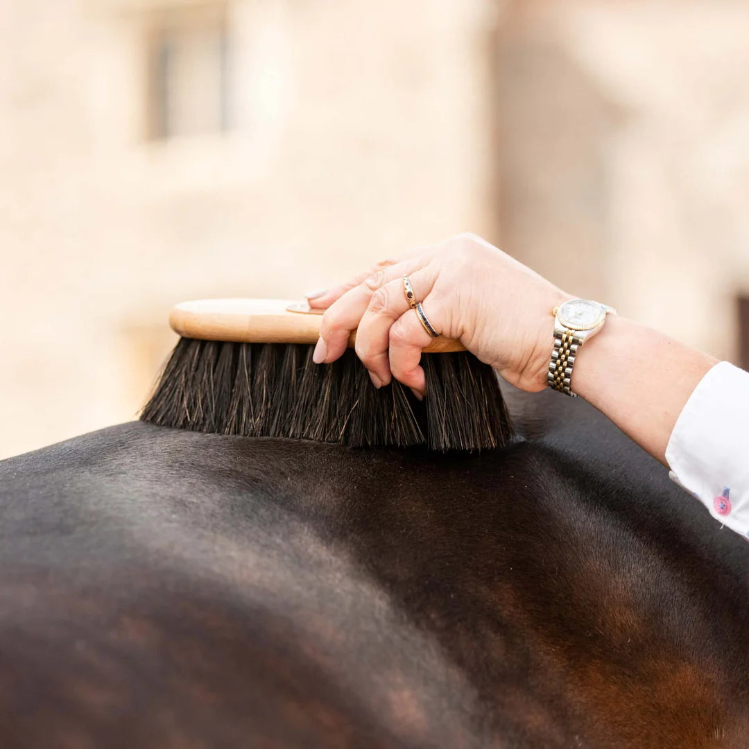 Borstiq Shaped Arenga Brush