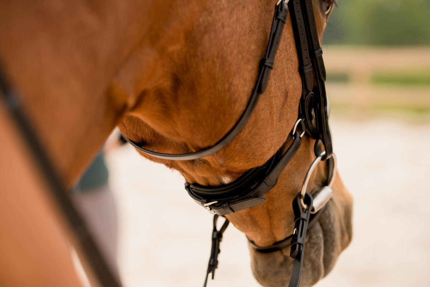 KL Select Impulsion Flask Crank Bridle - Black