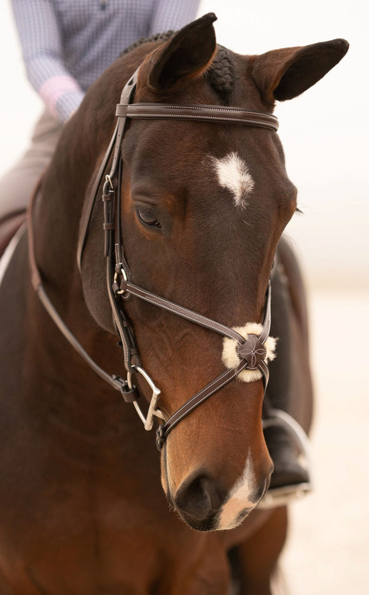 KL Select Black Oak Cedar Figure 8 Bridle with Rubber Reins