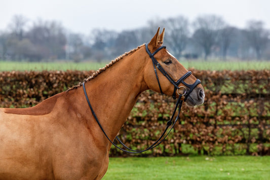 Trust Paris Double Noseband Bridle