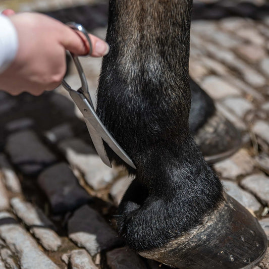 Smart Grooming Curved Fetlock Scissors