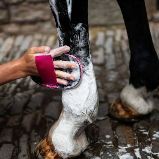 Smart Grooming Deluxe Super Groomer