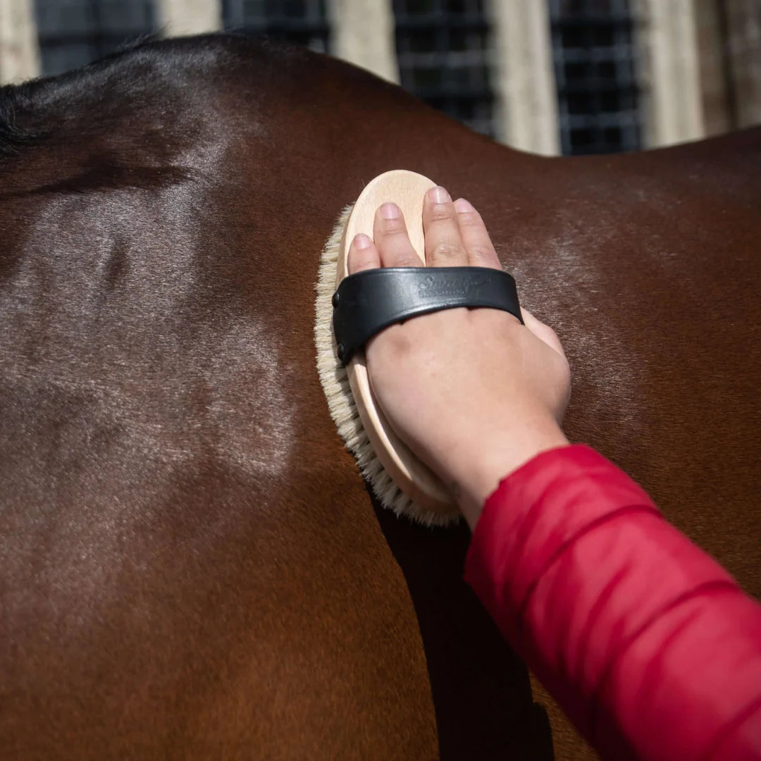 Smart Grooming Traditional Body Brush