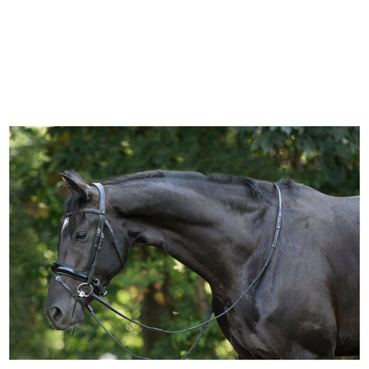 Trust Rotterdam Large P.Crank Bridle