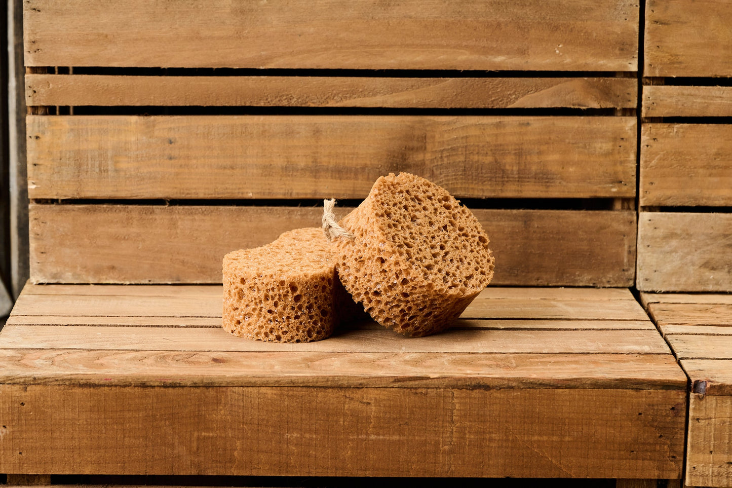 Borstiq Sponge