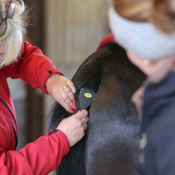 Smart Grooming Smart Tails