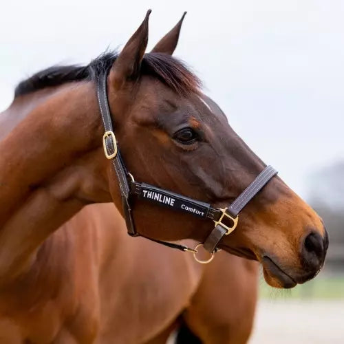 2 Piece-Halter Cheek Liners