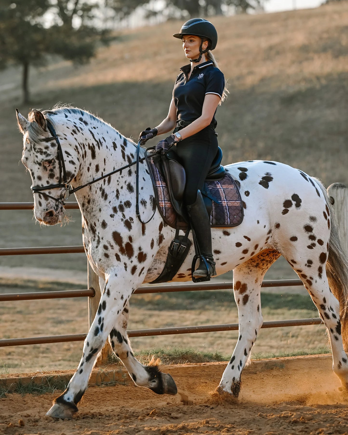 16 Cypress x Thinline Dressage Pad - Feild Plaid & Hickory