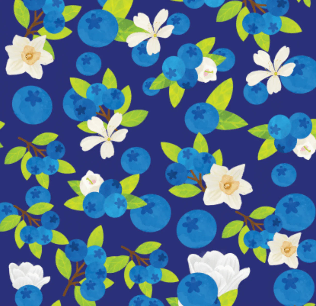 Dreamers & Schemers a Pair & Spare Socks - Blueberries