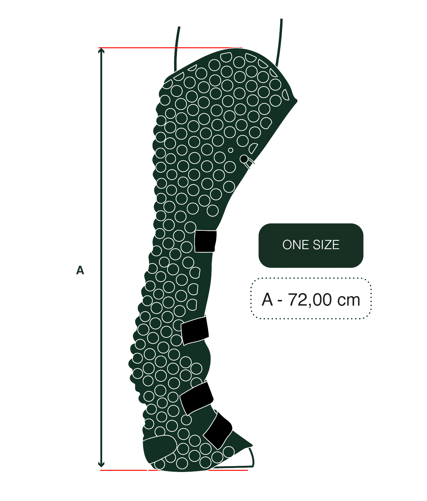 Gatusos Shipping Boots - Hind