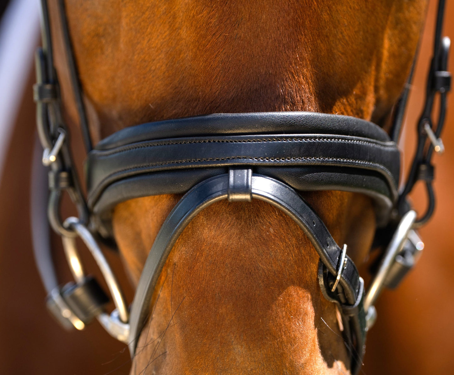 KL Select Black Oak Daphine Flash Crank Bridle