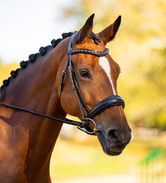 KL Select Red Barn Olympian Dressage Bridle