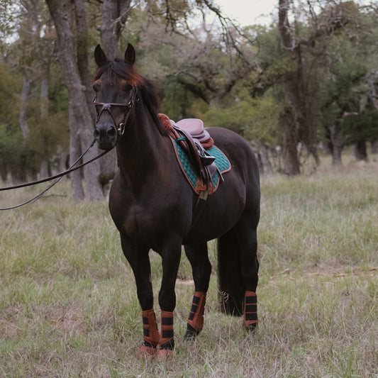 16 Cypress Close Contact - Cypress & Cognac