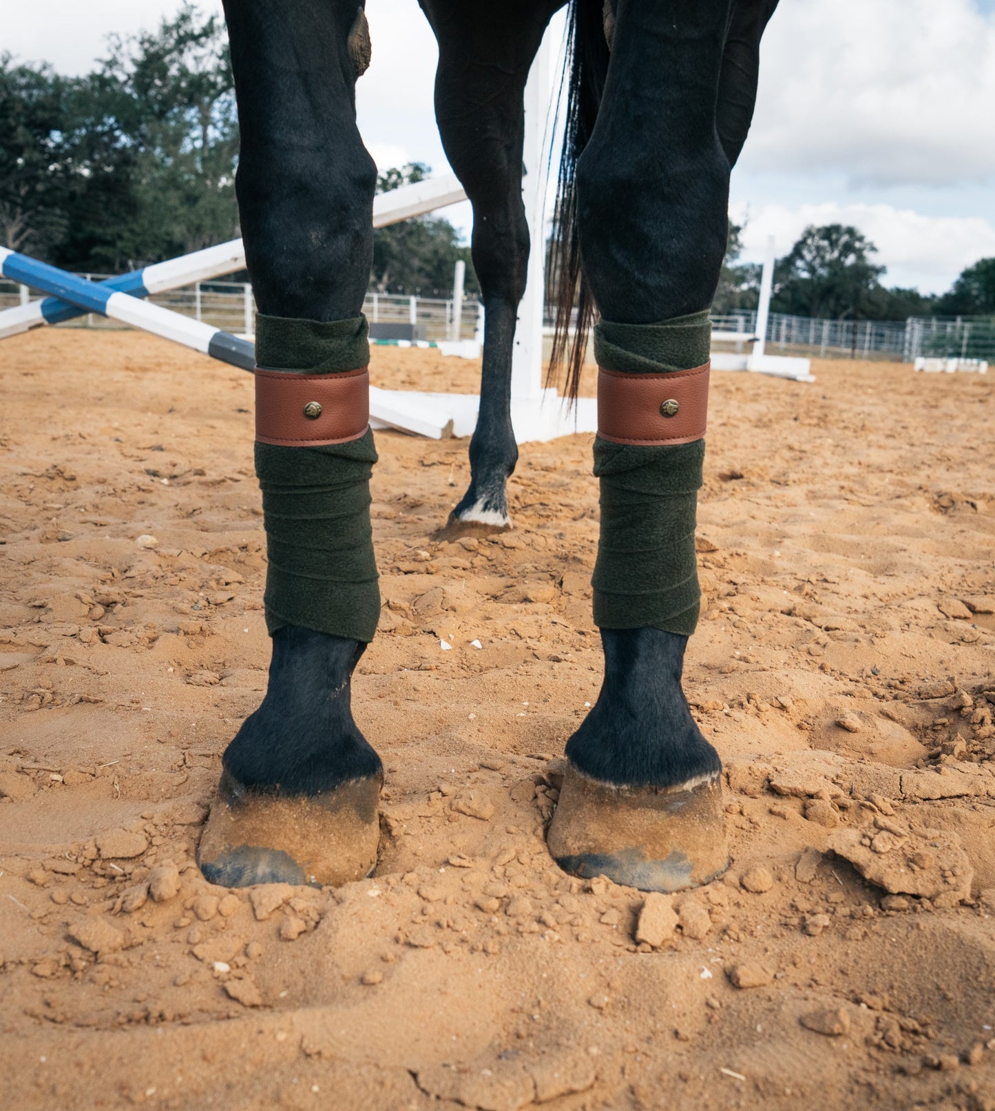 16 Cypress Leatherette Polos - Camel & Cognac