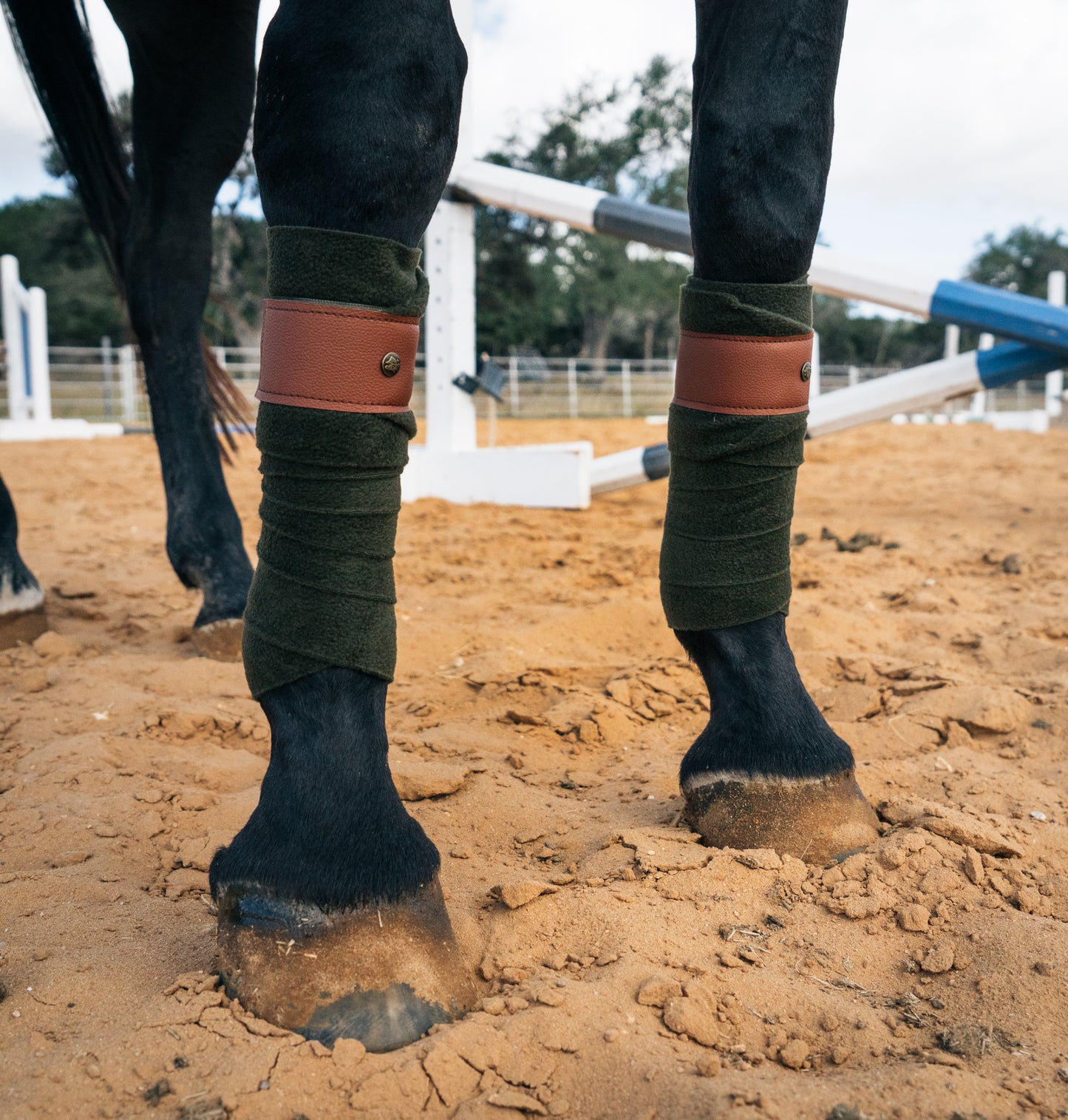 16 Cypress Leatherette Polos - Dark Olive & Cognac