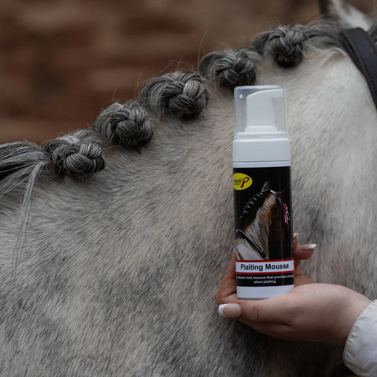 Smart Grooming Plaiting Mousse