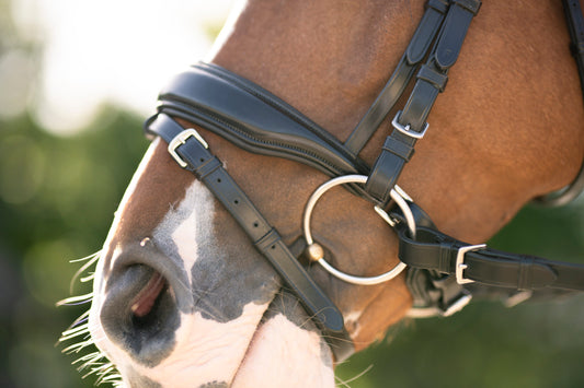 KL Select Topline Dressage Bridle with Reins