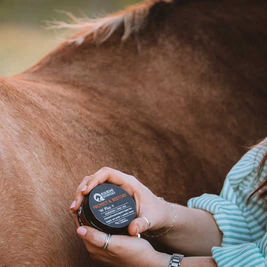 Equidae Wound Plus