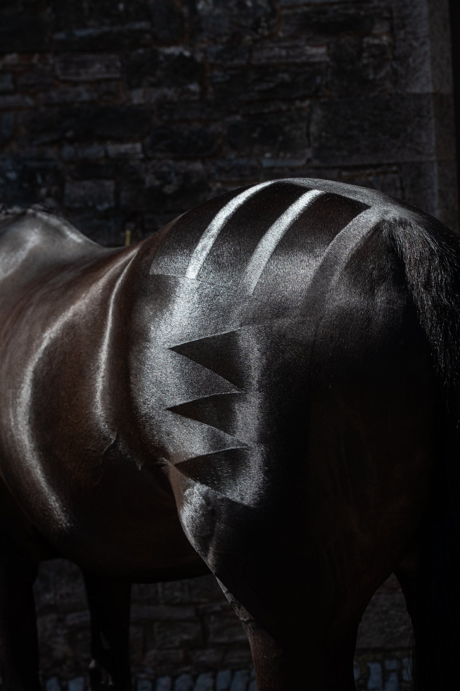 Smart Grooming
