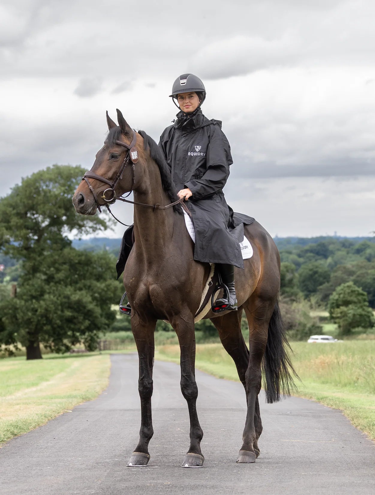 EquiDry Evolution Mesh Lined - Black & Black