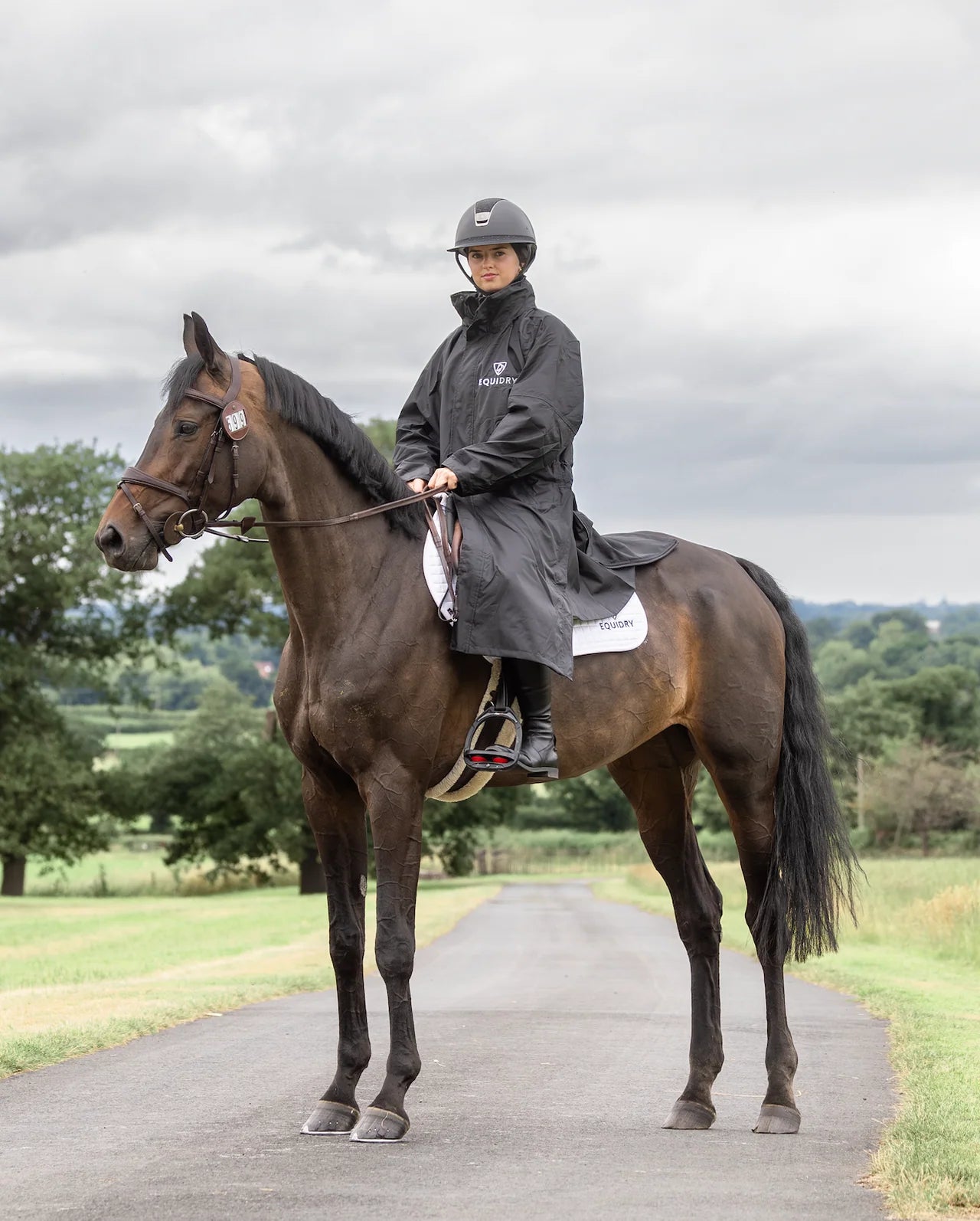EquiDry Evolution Mesh Lined - Black & Black