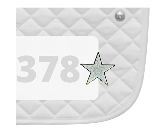Dubois Cheval Number Pin Charm - Shining Star