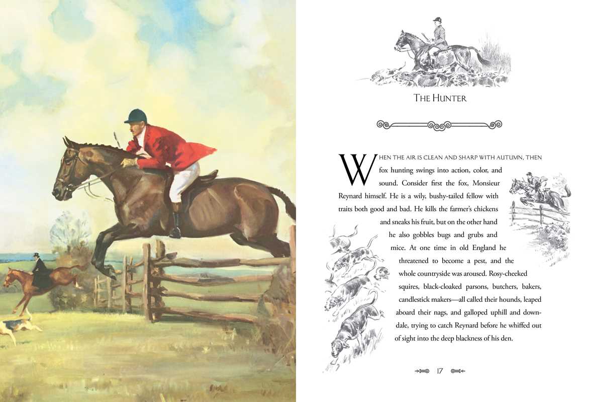 Album of Horses by Marguerite Henry: Hardcover; 208 pages / English