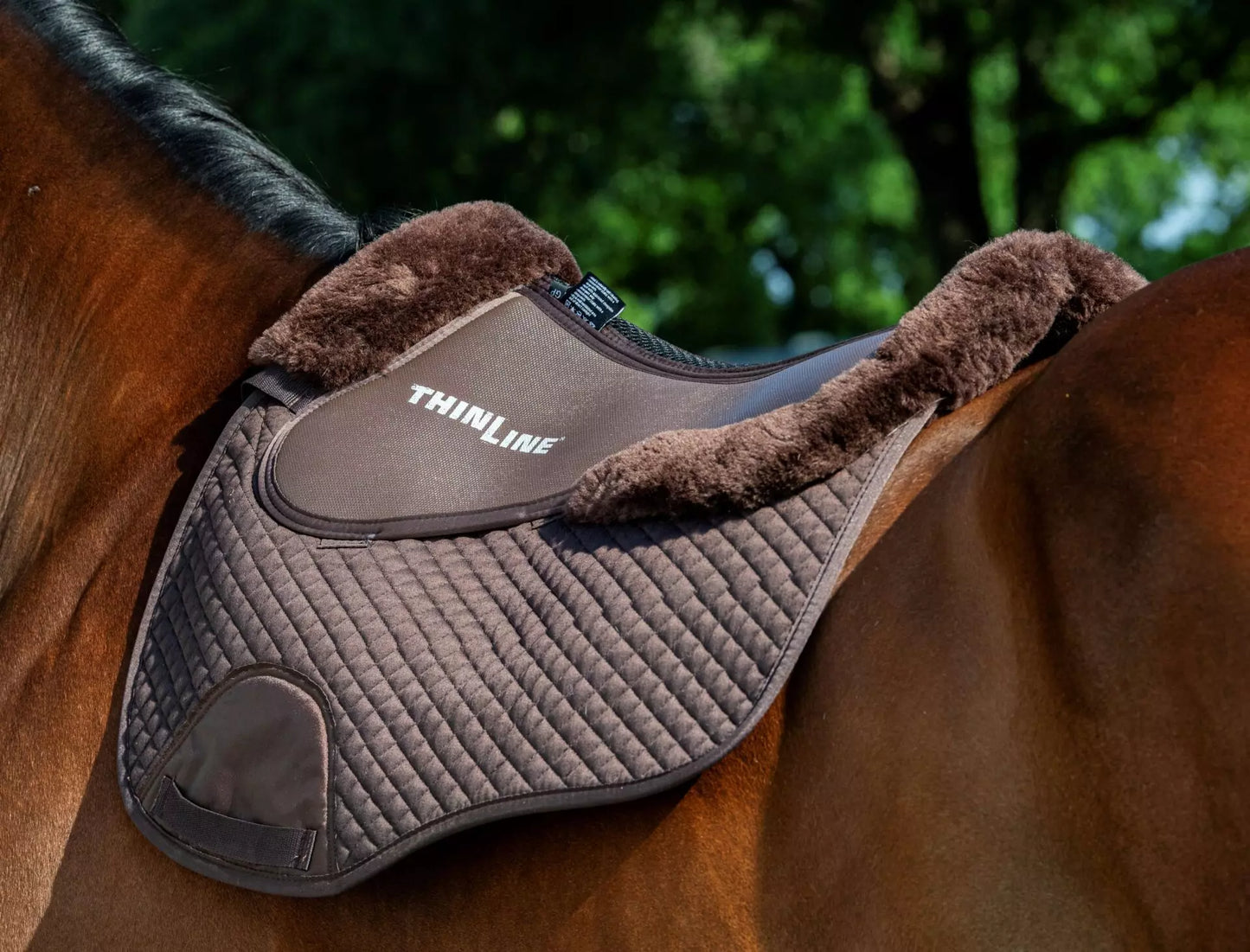 ThinLine Euro Wool Jumper Pad