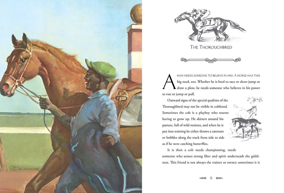 Album of Horses by Marguerite Henry: Hardcover; 208 pages / English