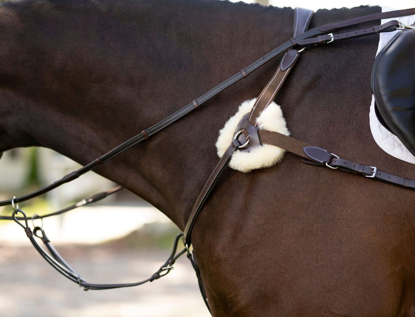 KL Select Black Oak 5-Point Breastplate