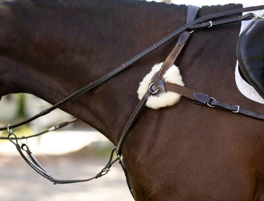 KL Select Black Oak 5-Point Breastplate