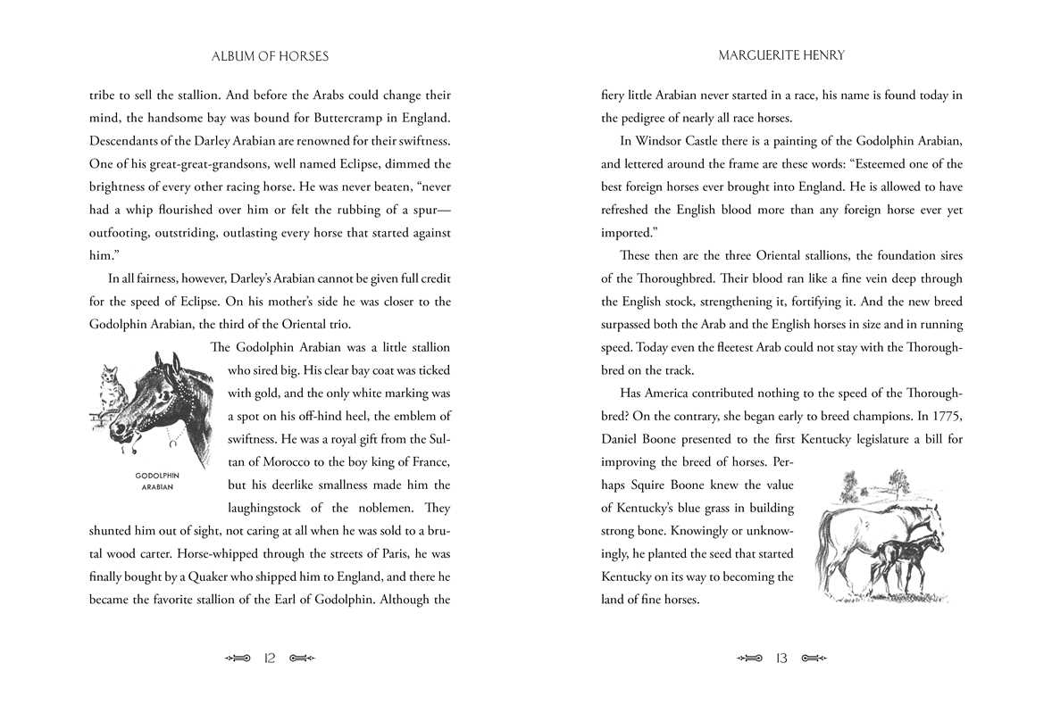 Album of Horses by Marguerite Henry: Hardcover; 208 pages / English