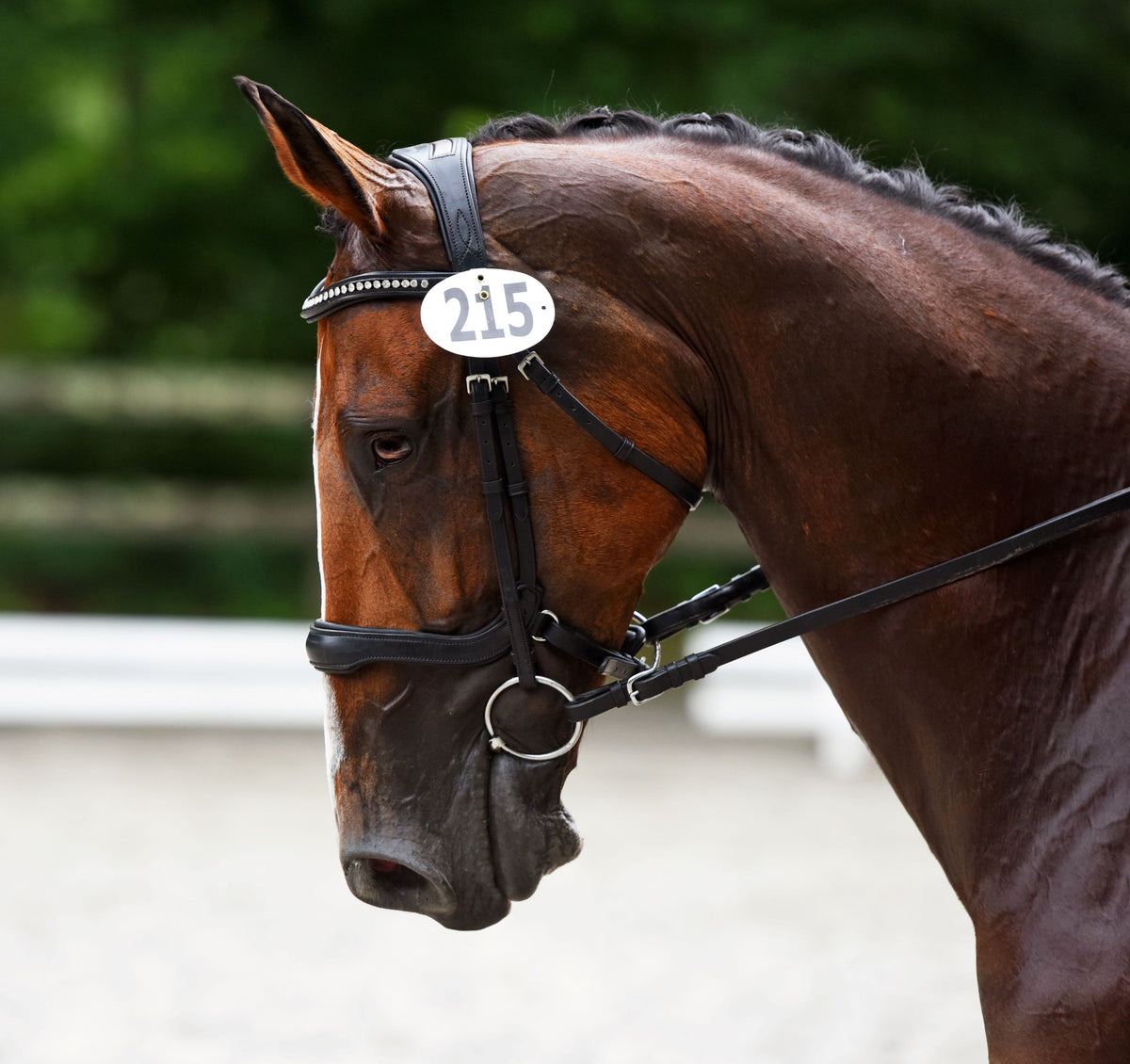 KL Select Arena Weymouth Bridle