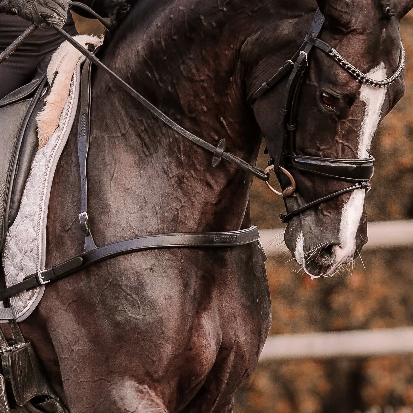 Lumiere Alicia Leather Dressage Breastplate