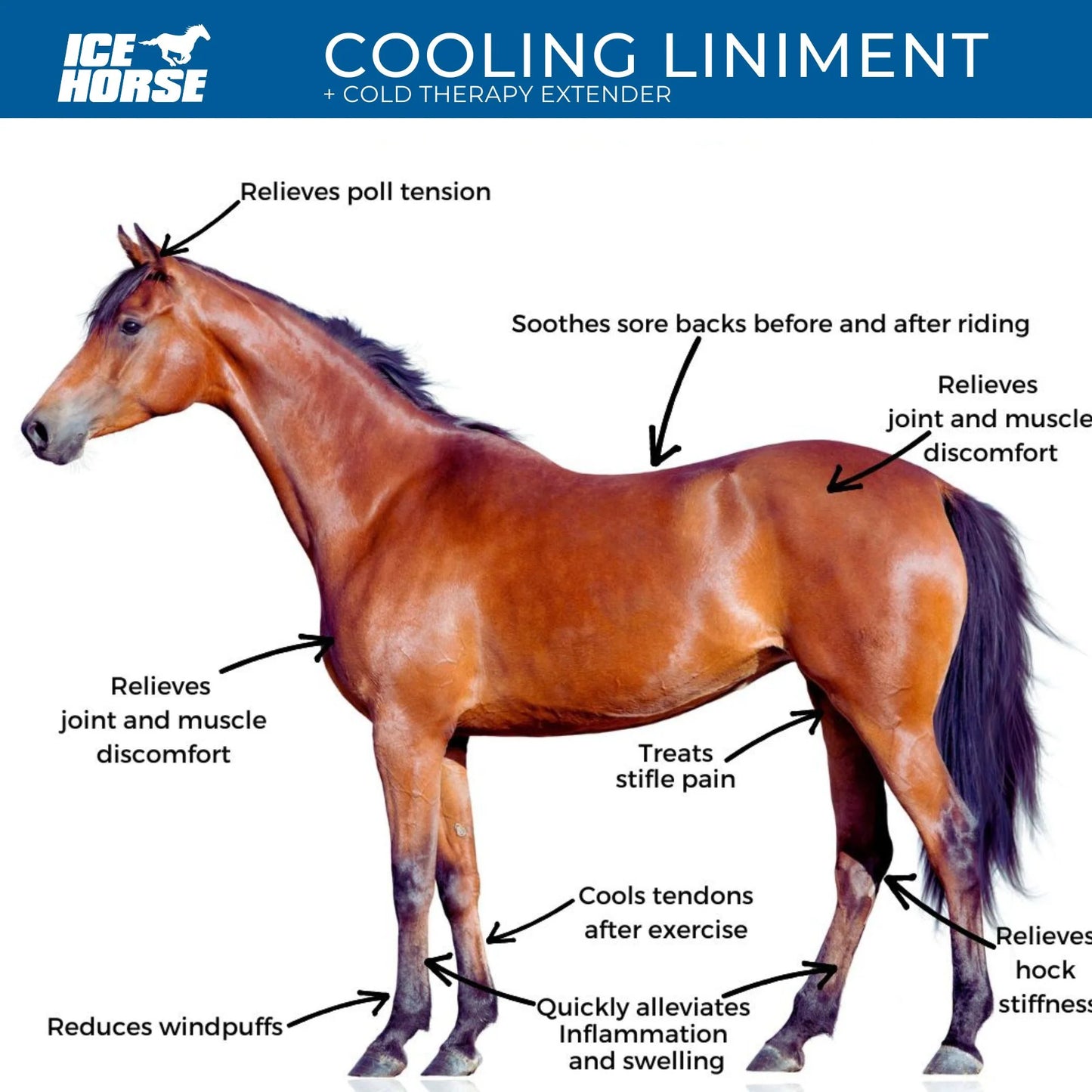 Ice Horse - Cooling Liniment