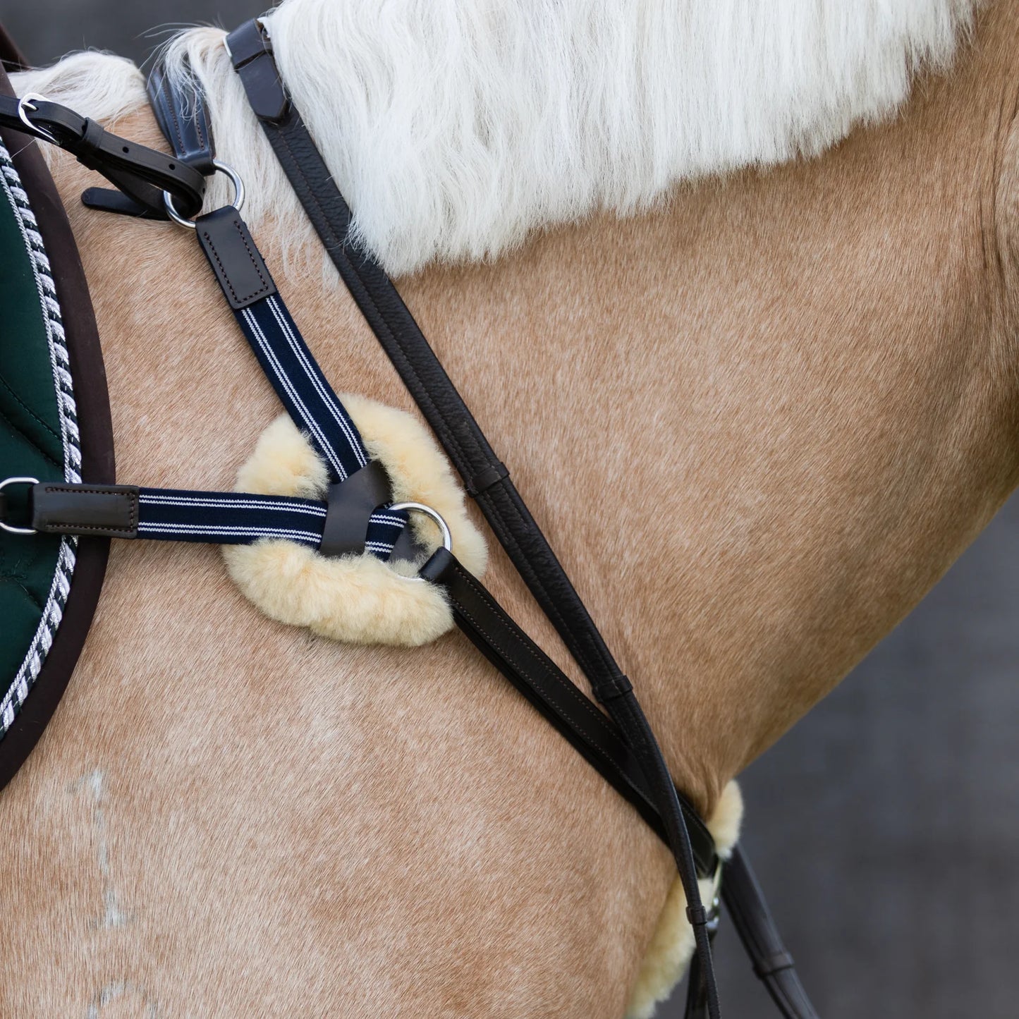 Lumiere Antiqua 5 - Point Leather Breastplate