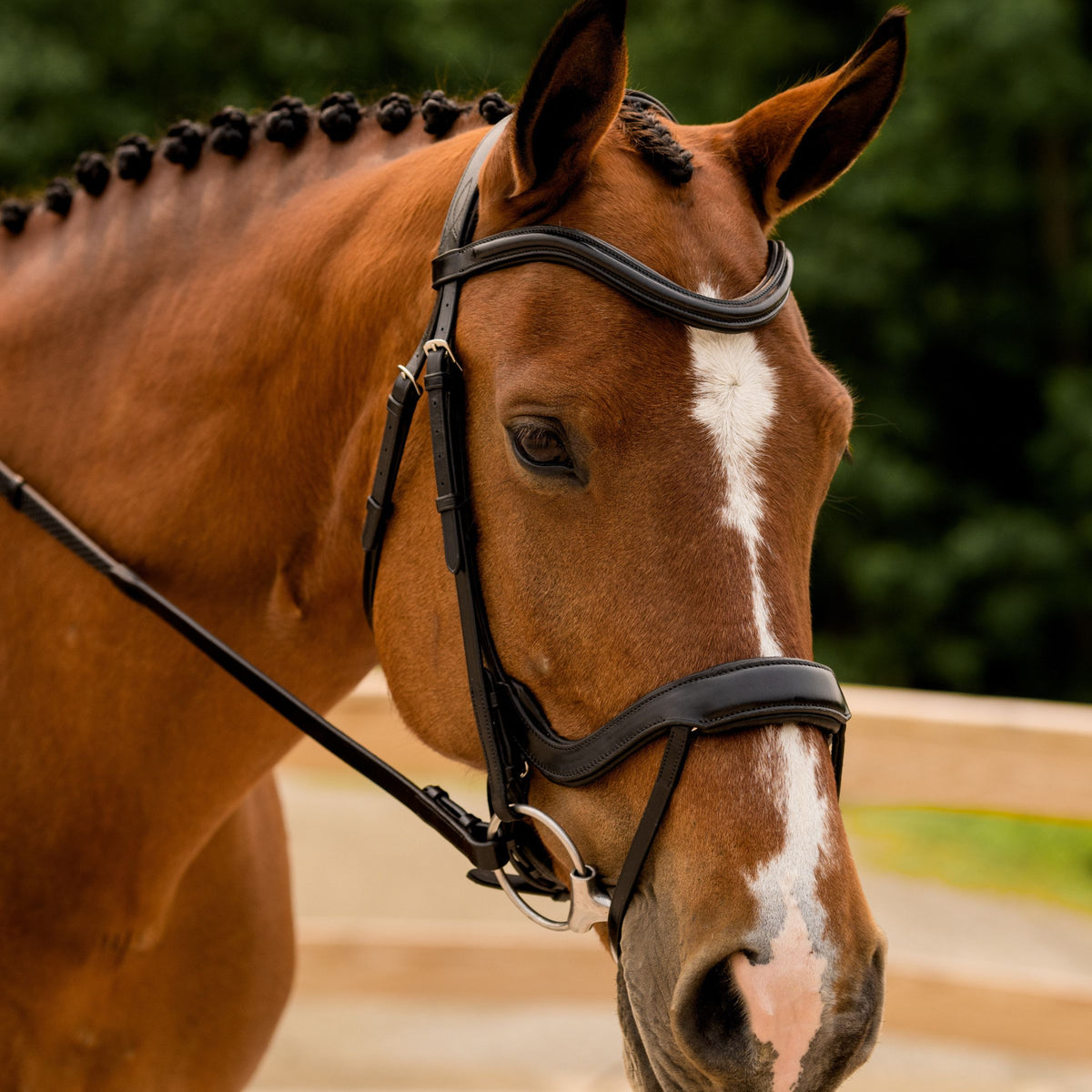 KL Select Arena Weymouth Bridle