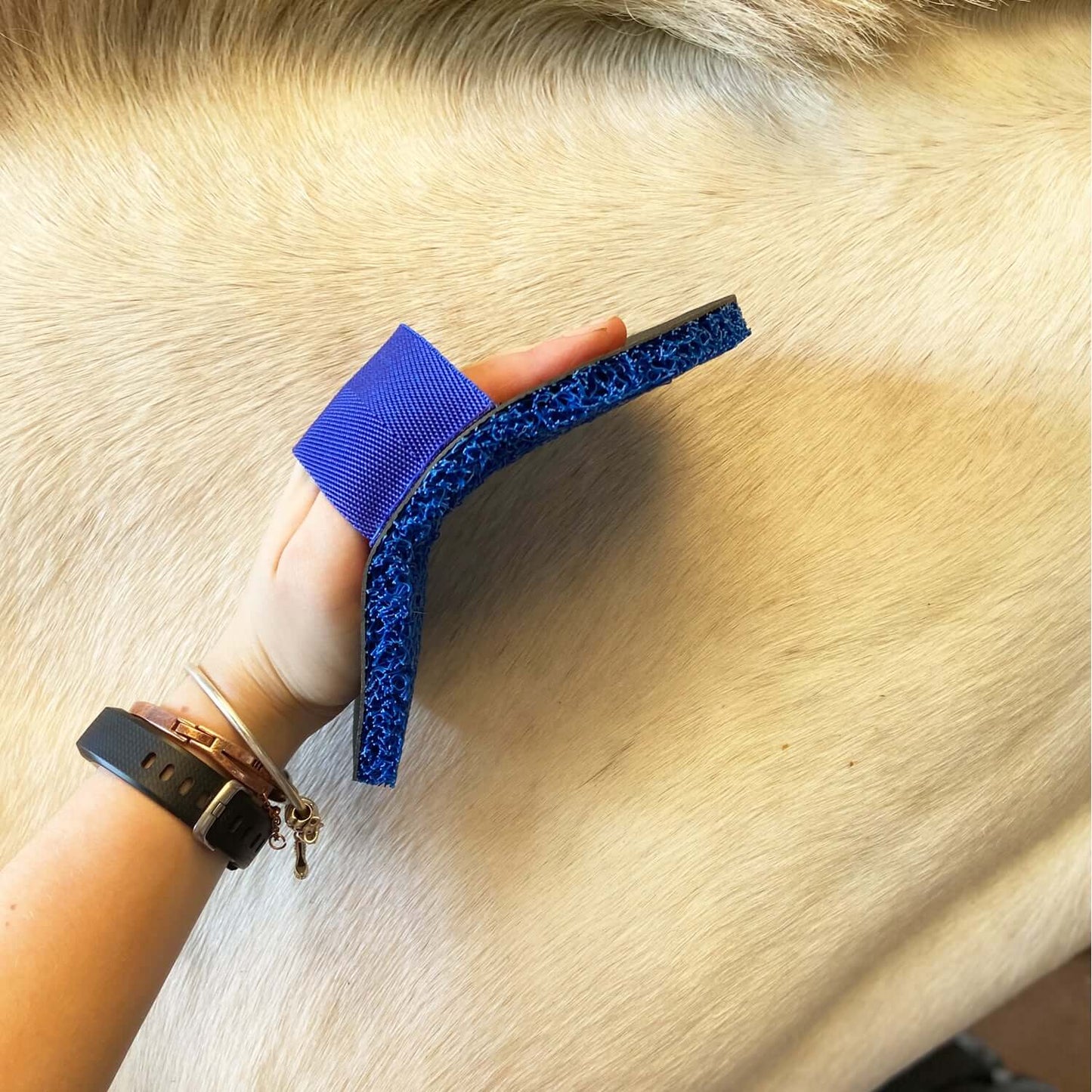 Smart Grooming Deluxe Super Groomer