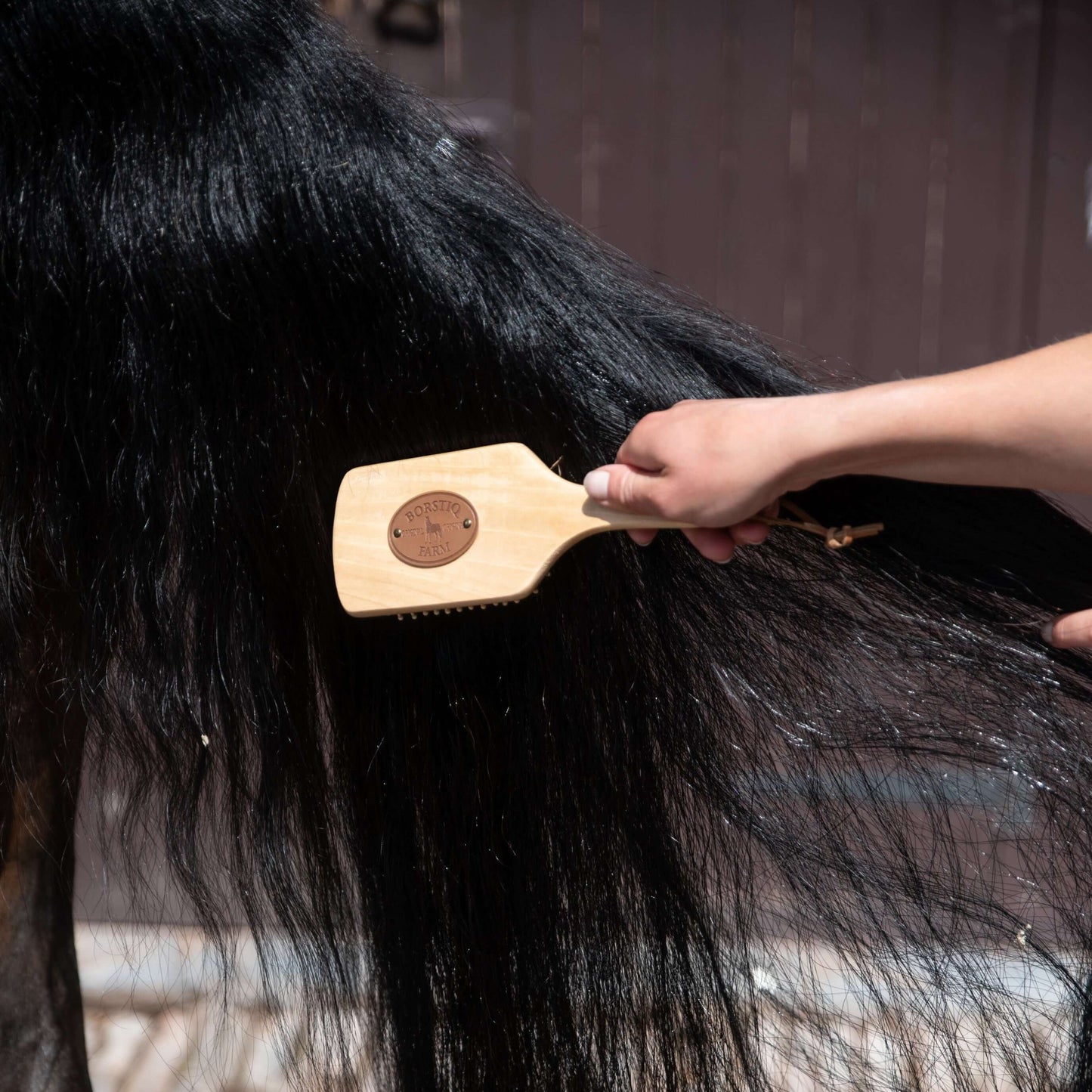 Borstiq Mane & Tail Massage Brush