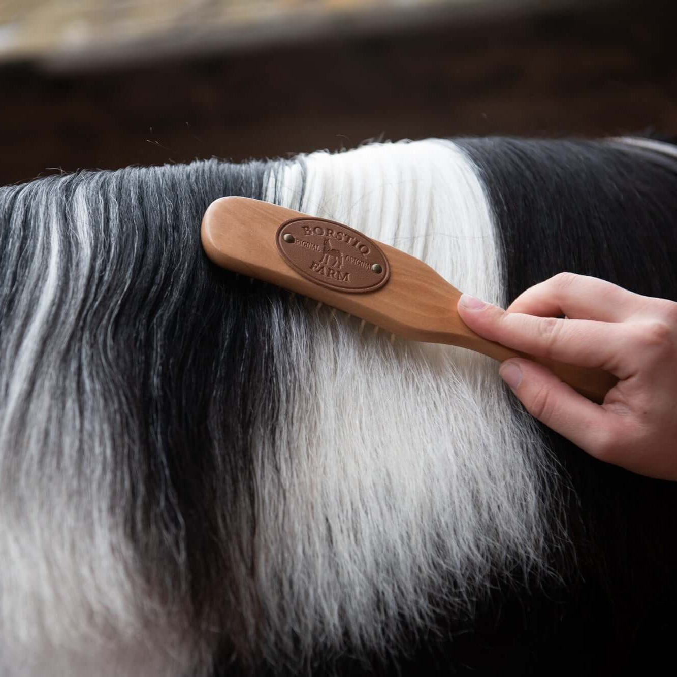 Borstiq Mane & Tail Massage Brush