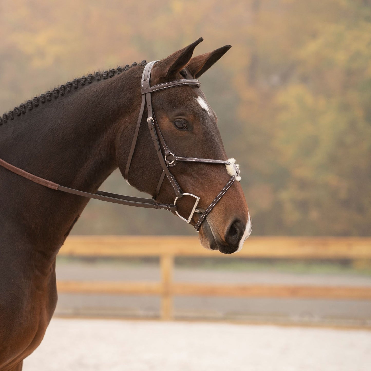 KL Select Black Oak Cedar Figure 8 Bridle with Rubber Reins