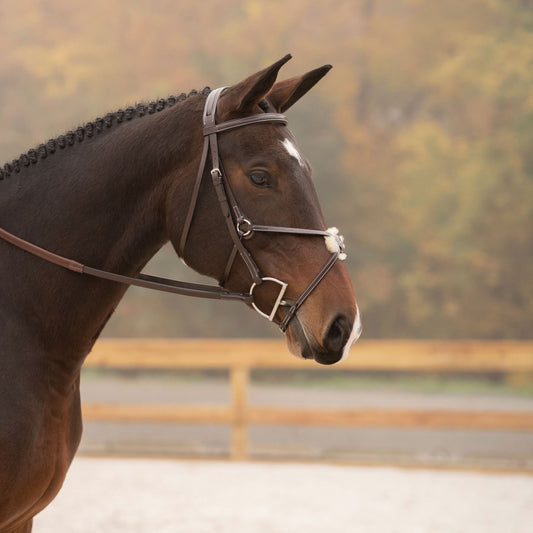 KL Select Black Oak Cedar Figure 8 Bridle with Rubber Reins