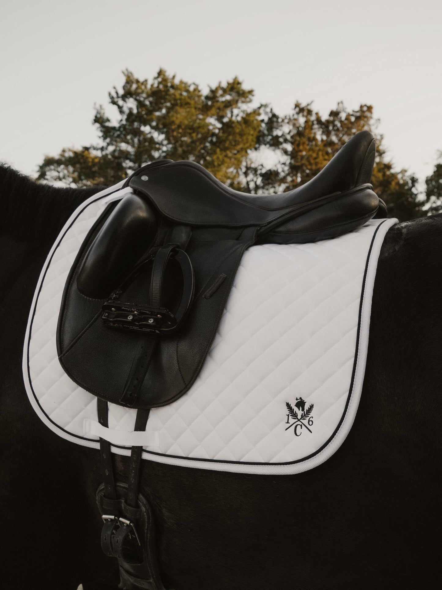 16 Cypress Daily Sport Dressage Pad - Black