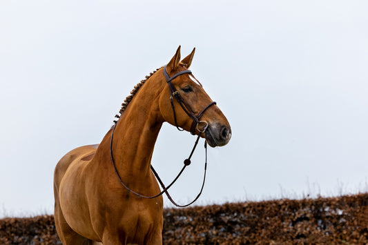 Trust Dublin Rope Noseband Bridle