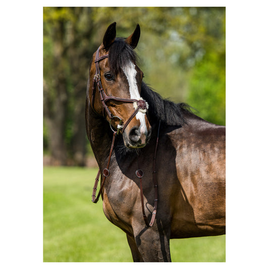 Trust Oslo Mexican Noseband Bridle