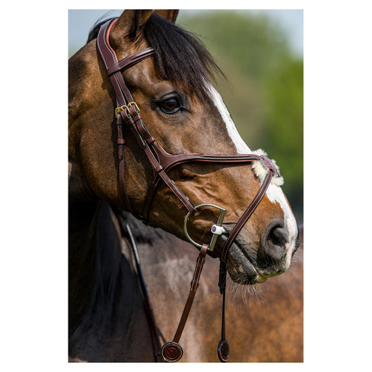 Trust Oslo Mexican Noseband Bridle